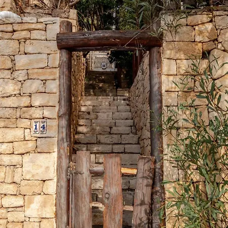 Center * Kaş